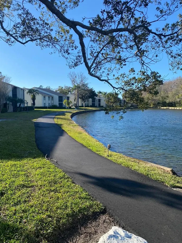 1333 Shady Pine Way Tarpon Springs FL 34688