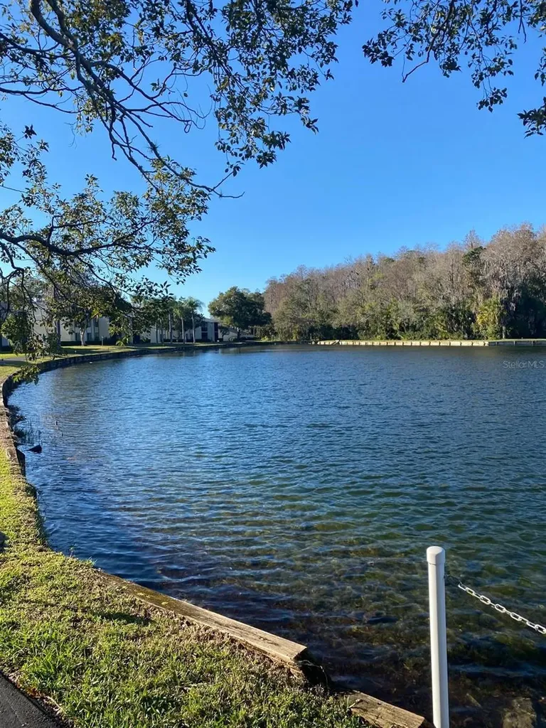 1333 Shady Pine Way Tarpon Springs FL 34688