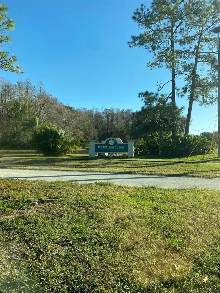 1333 Shady Pine Way Tarpon Springs FL 34688