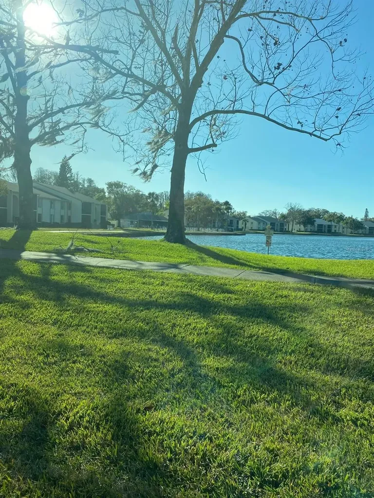 1333 Shady Pine Way Tarpon Springs FL 34688