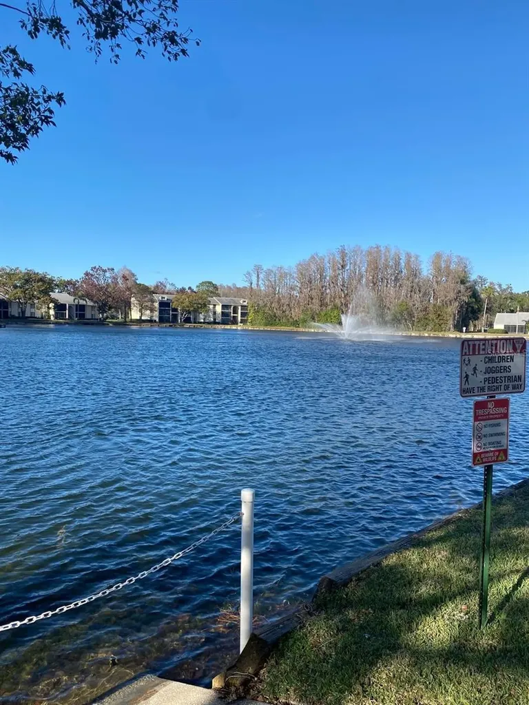 1333 Shady Pine Way Tarpon Springs FL 34688