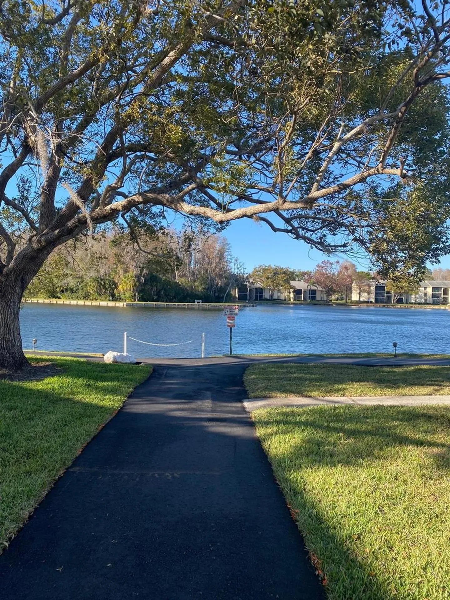 1333 Shady Pine Way Tarpon Springs FL 34688