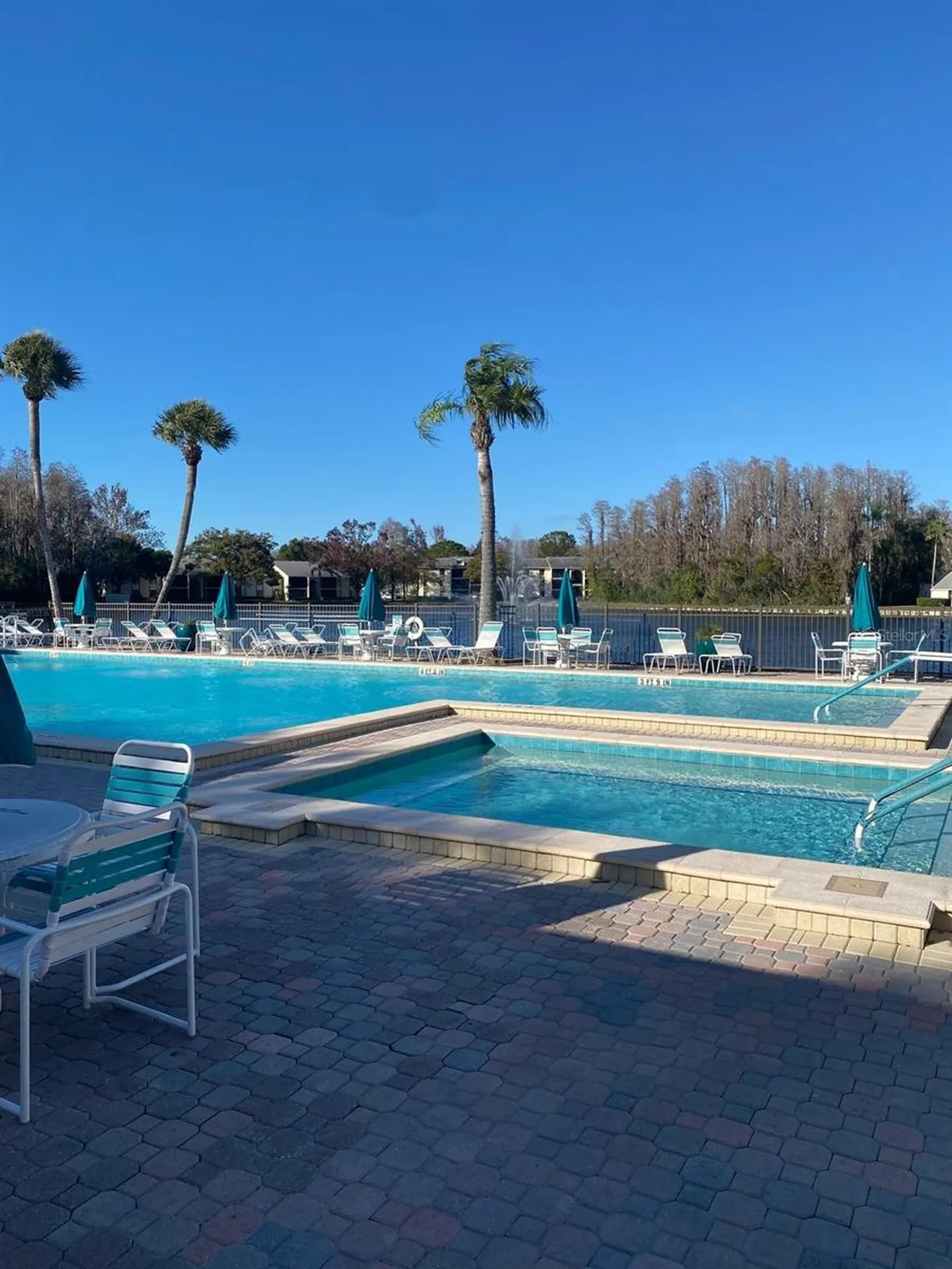 1333 Shady Pine Way Tarpon Springs FL 34688