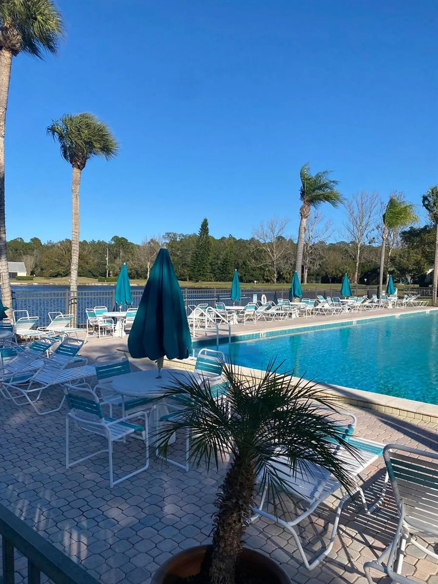 1333 Shady Pine Way Tarpon Springs FL 34688