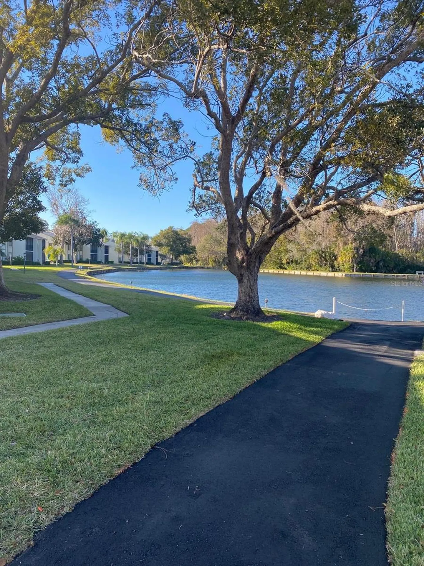 1333 Shady Pine Way Tarpon Springs FL 34688