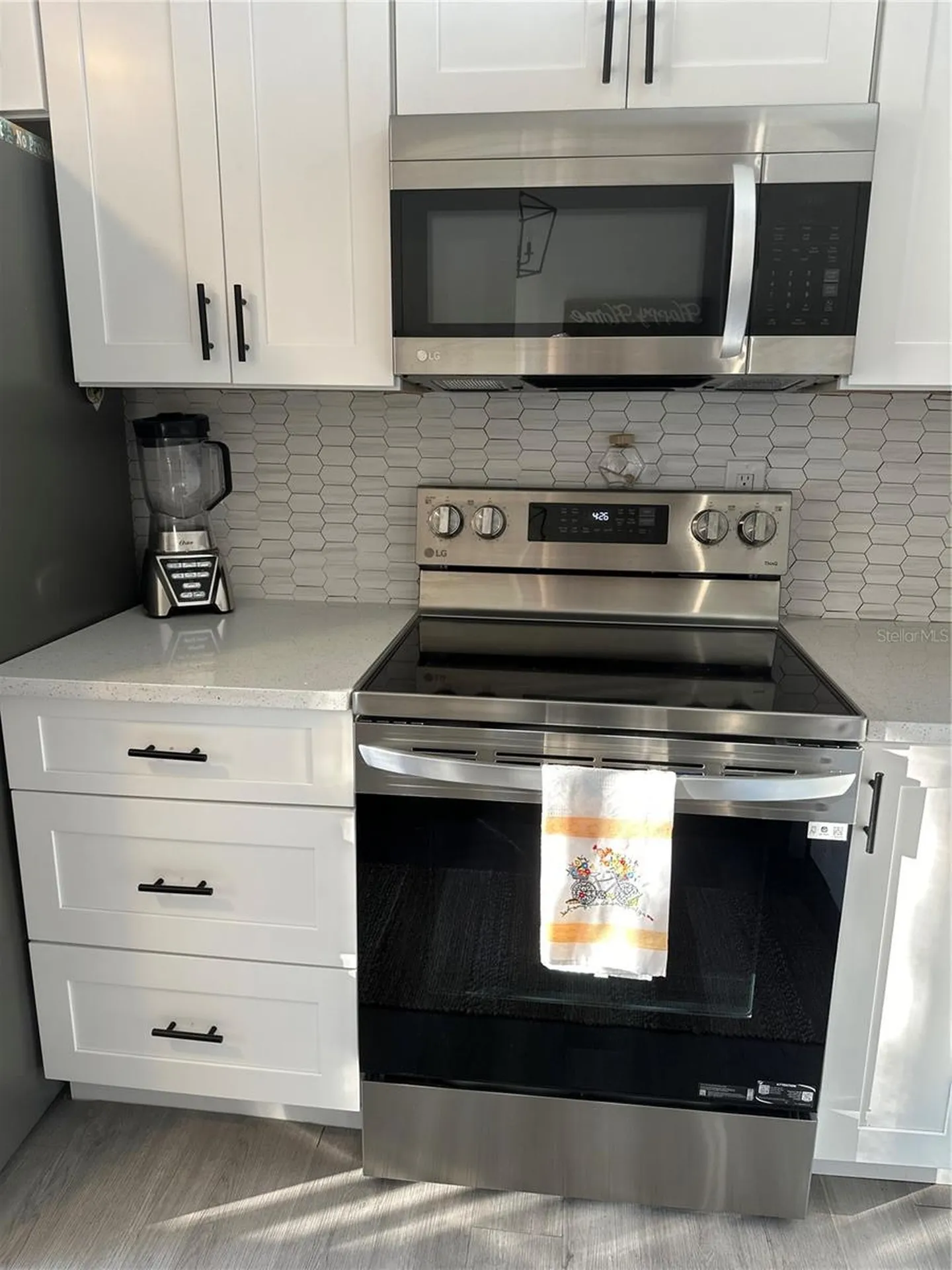 1333 Shady Pine Way Tarpon Springs FL 34688