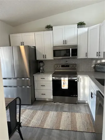 1333 Shady Pine Way Tarpon Springs FL 34688