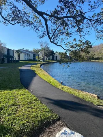 1333 Shady Pine Way Tarpon Springs FL 34688