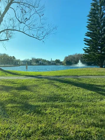 1333 Shady Pine Way Tarpon Springs FL 34688