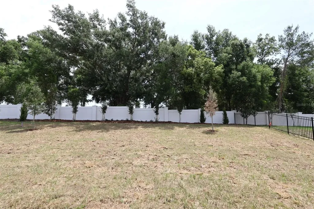 3270 Wolf Lake Avenue Apopka FL 32712