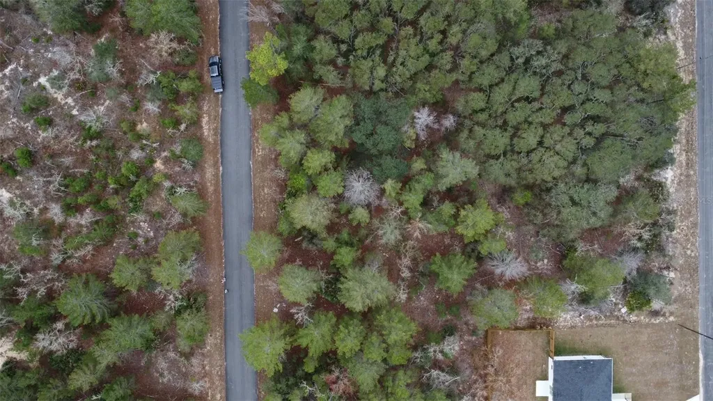 Malauka Drive Ocklawaha FL 32179