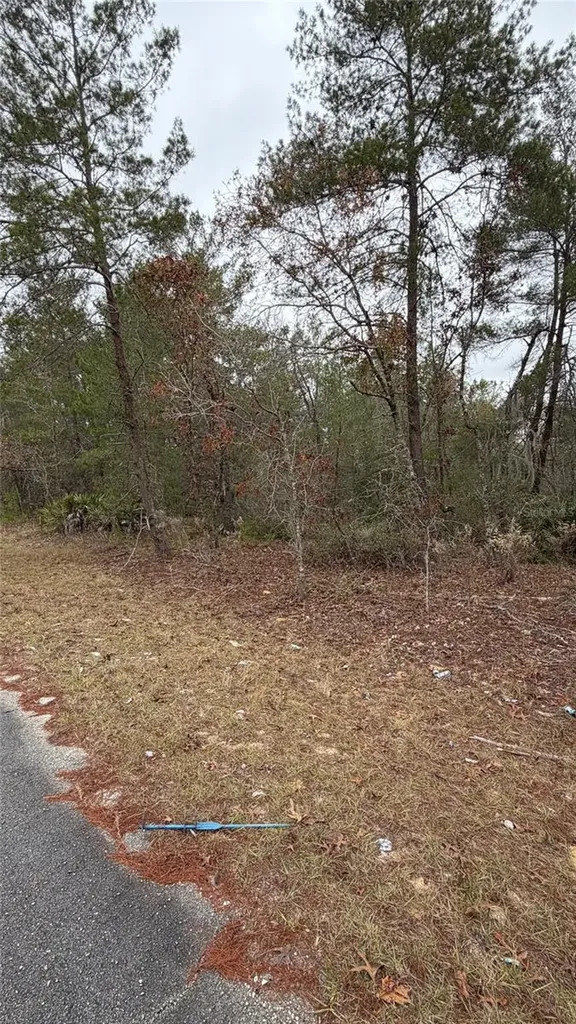 Malauka Drive Ocklawaha FL 32179