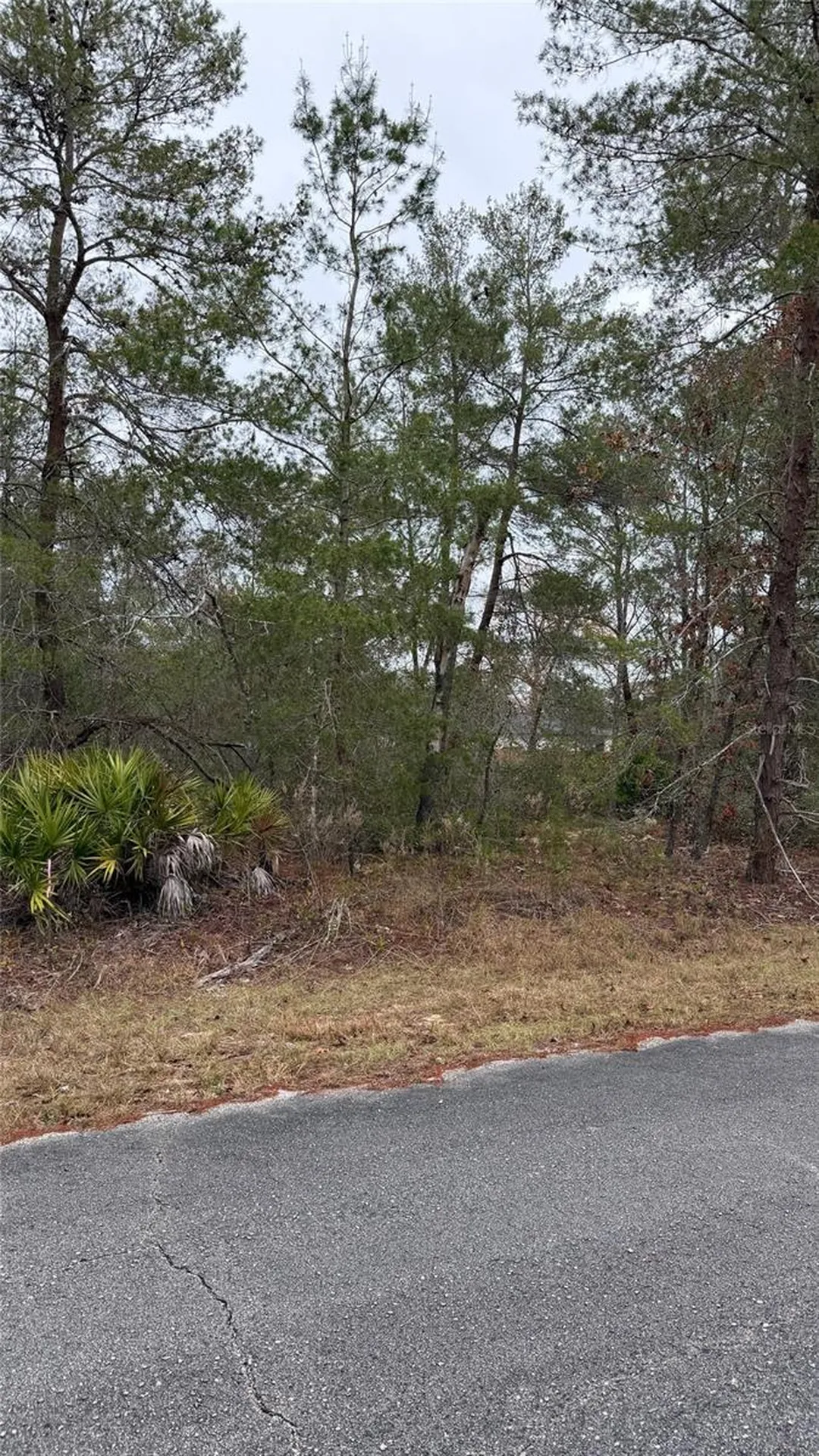 Malauka Drive Ocklawaha FL 32179