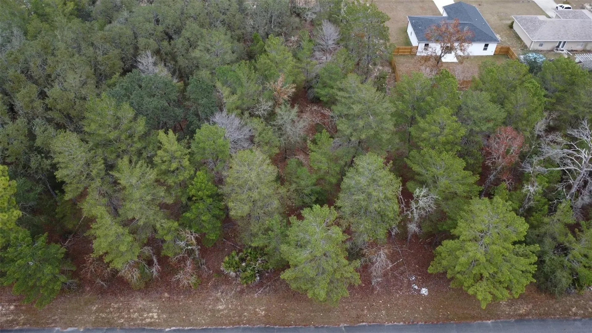 Malauka Drive Ocklawaha FL 32179
