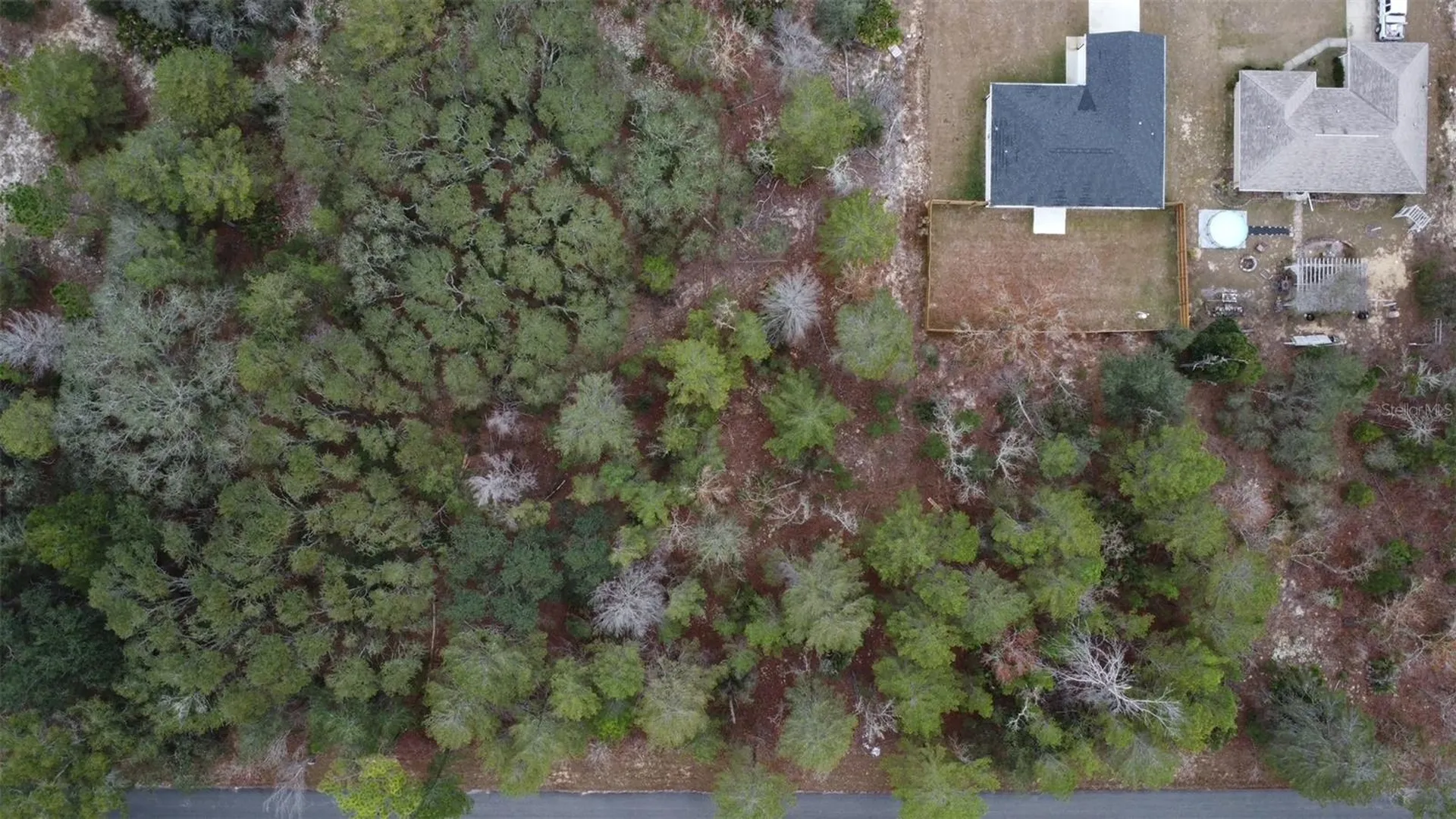Malauka Drive Ocklawaha FL 32179