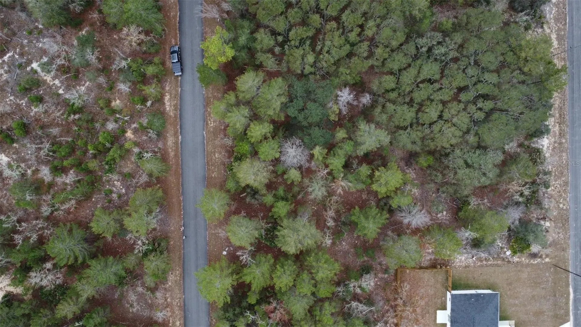 Malauka Drive Ocklawaha FL 32179