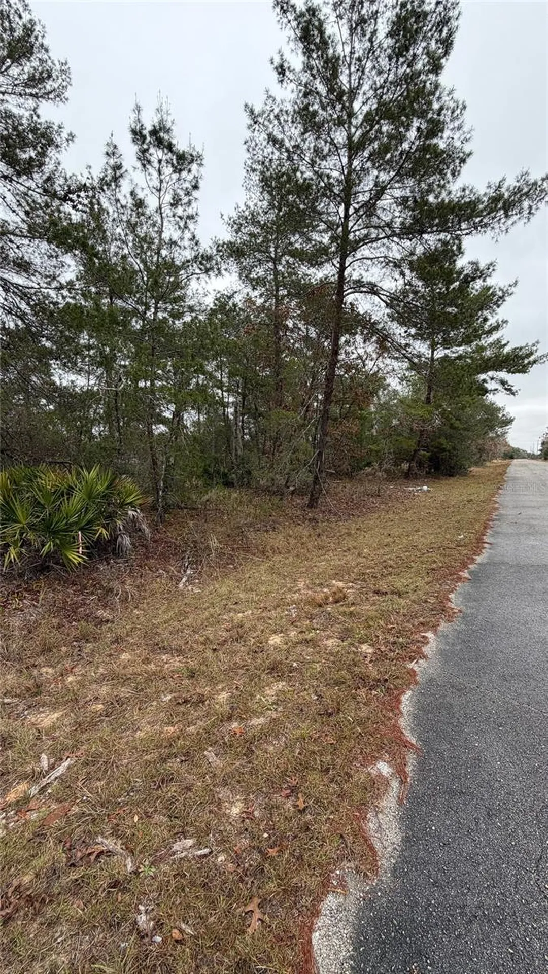 Malauka Drive Ocklawaha FL 32179