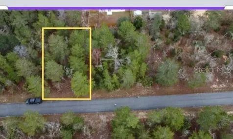 Malauka Drive Ocklawaha FL 32179