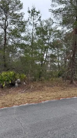 Malauka Drive Ocklawaha FL 32179