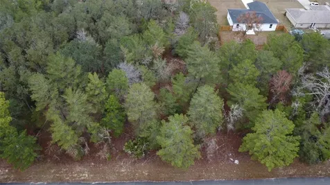 Malauka Drive Ocklawaha FL 32179
