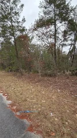 Malauka Drive Ocklawaha FL 32179