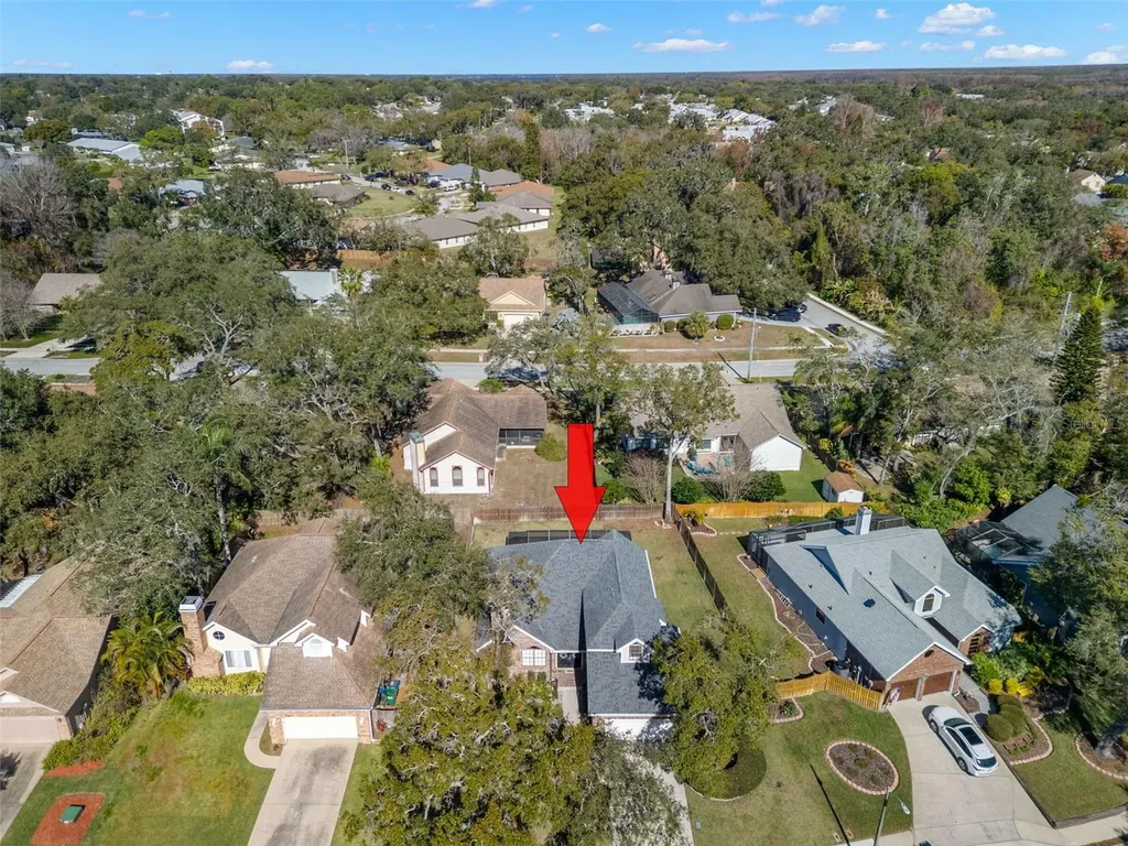 3469 Rolling Trail Palm Harbor FL 34684