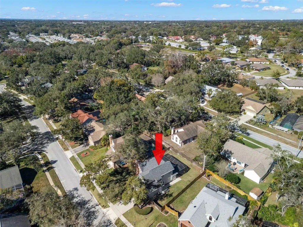 3469 Rolling Trail Palm Harbor FL 34684