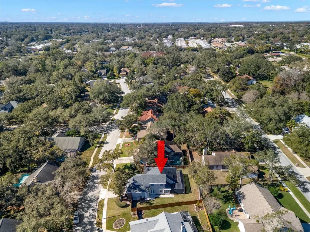 3469 Rolling Trail Palm Harbor FL 34684