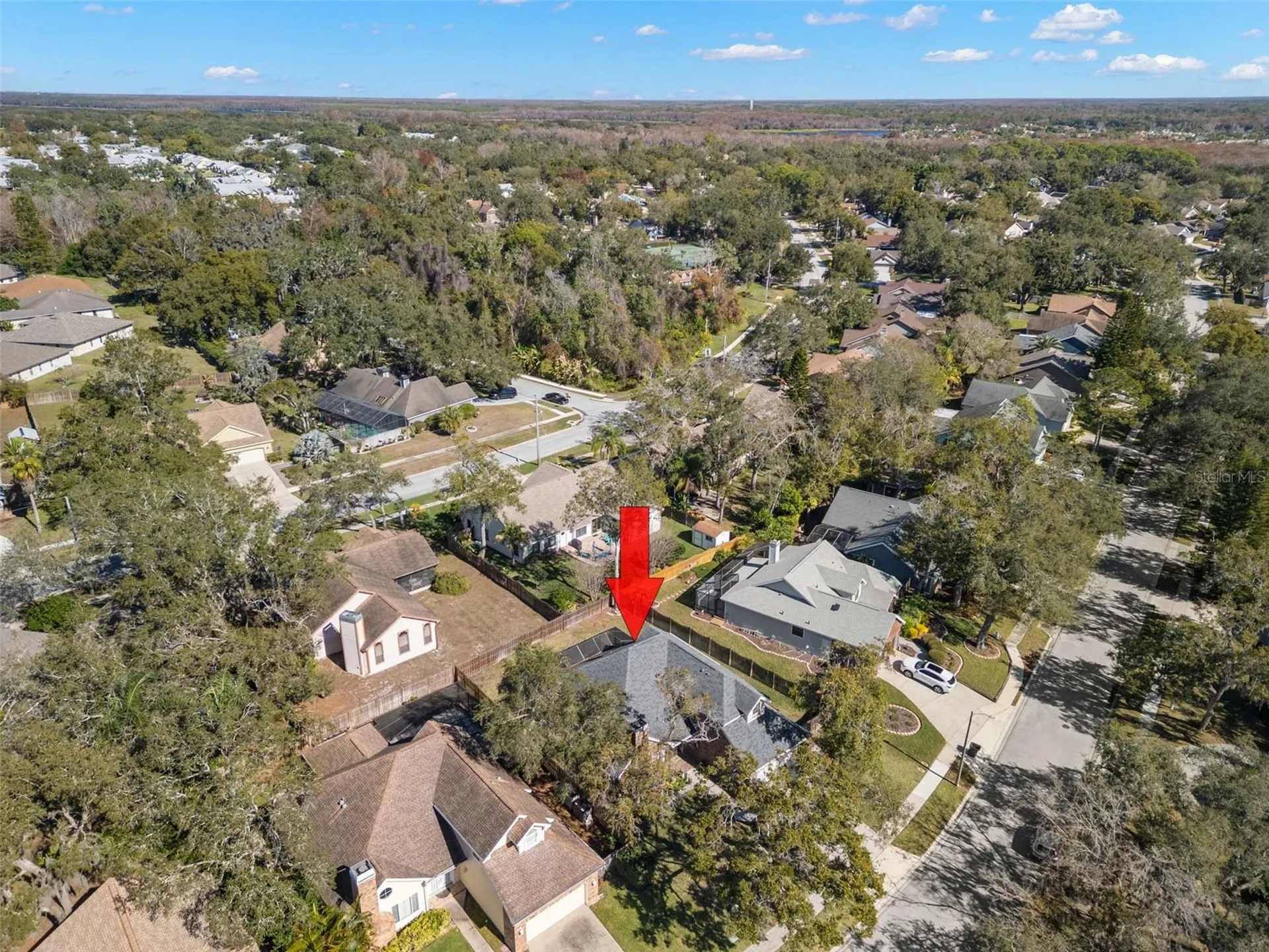 3469 Rolling Trail Palm Harbor FL 34684