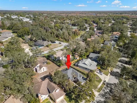 3469 Rolling Trail Palm Harbor FL 34684