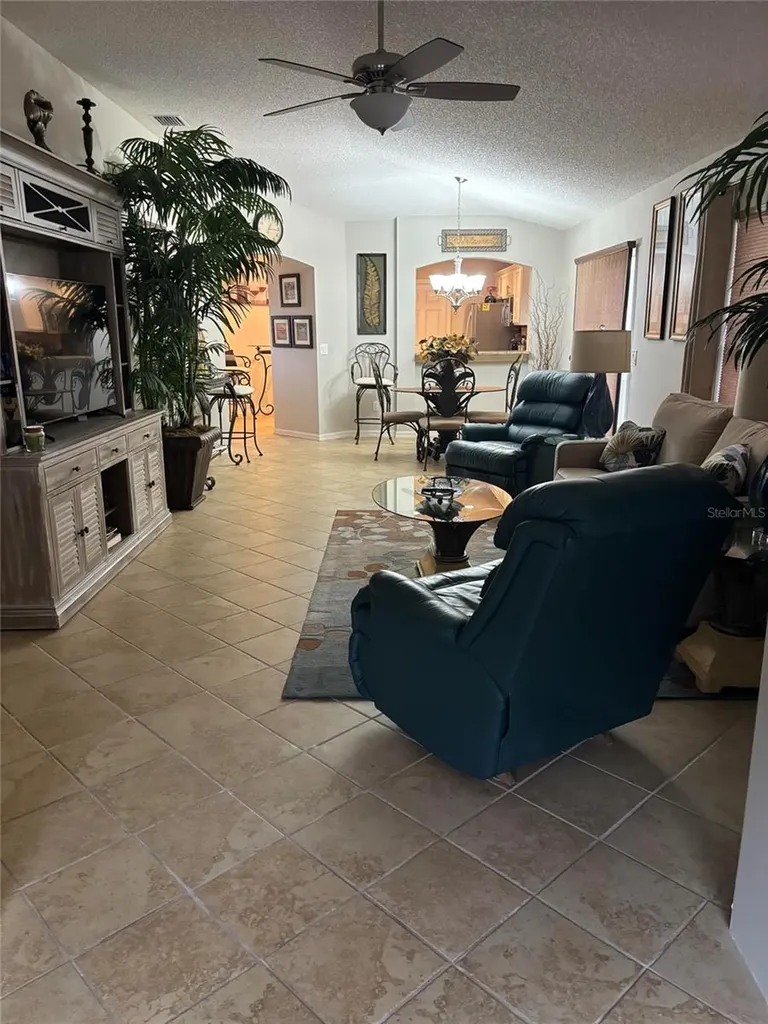 1069 Burnettown Place The Villages FL 32162