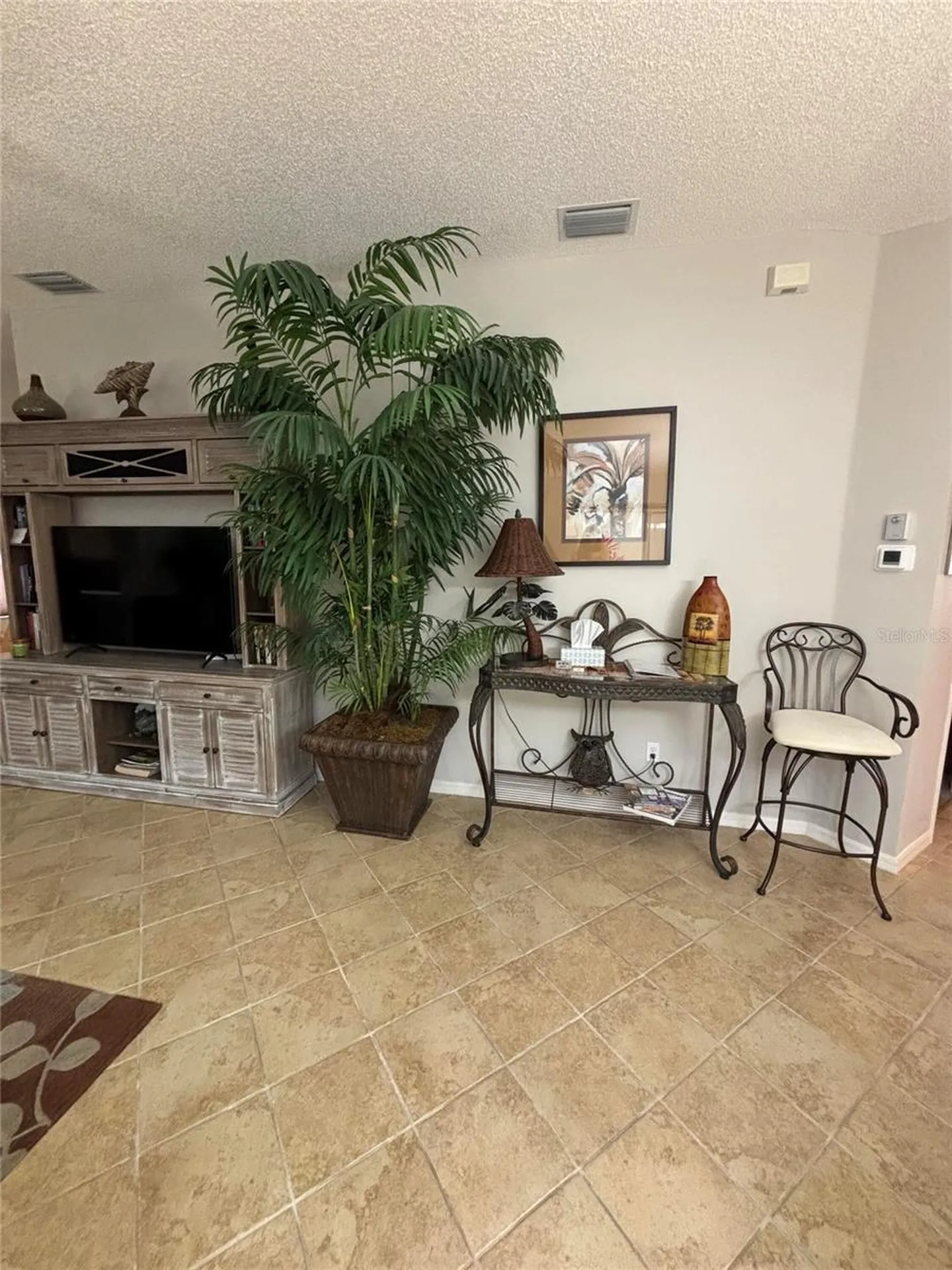 1069 Burnettown Place The Villages FL 32162