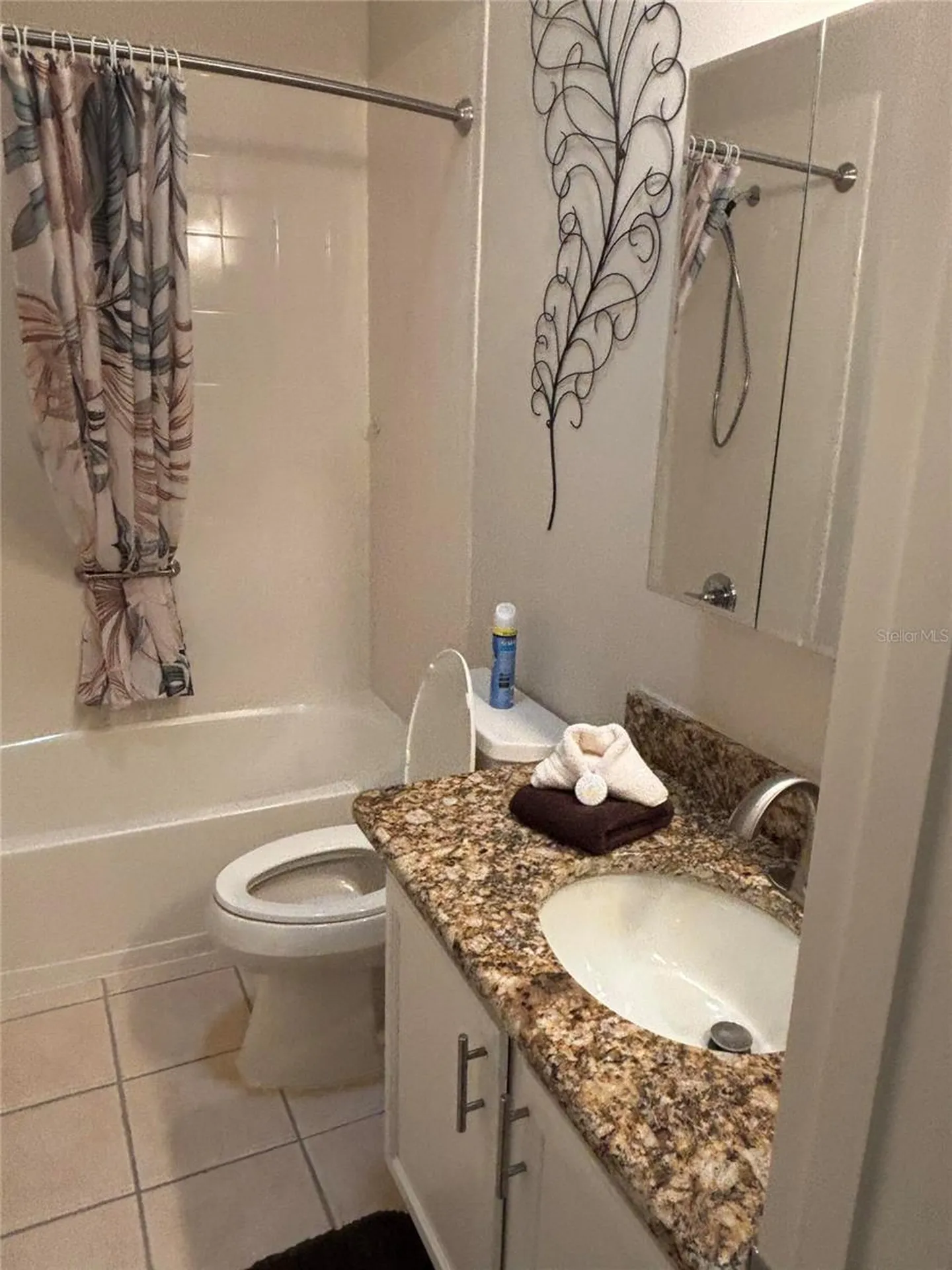 1069 Burnettown Place The Villages FL 32162