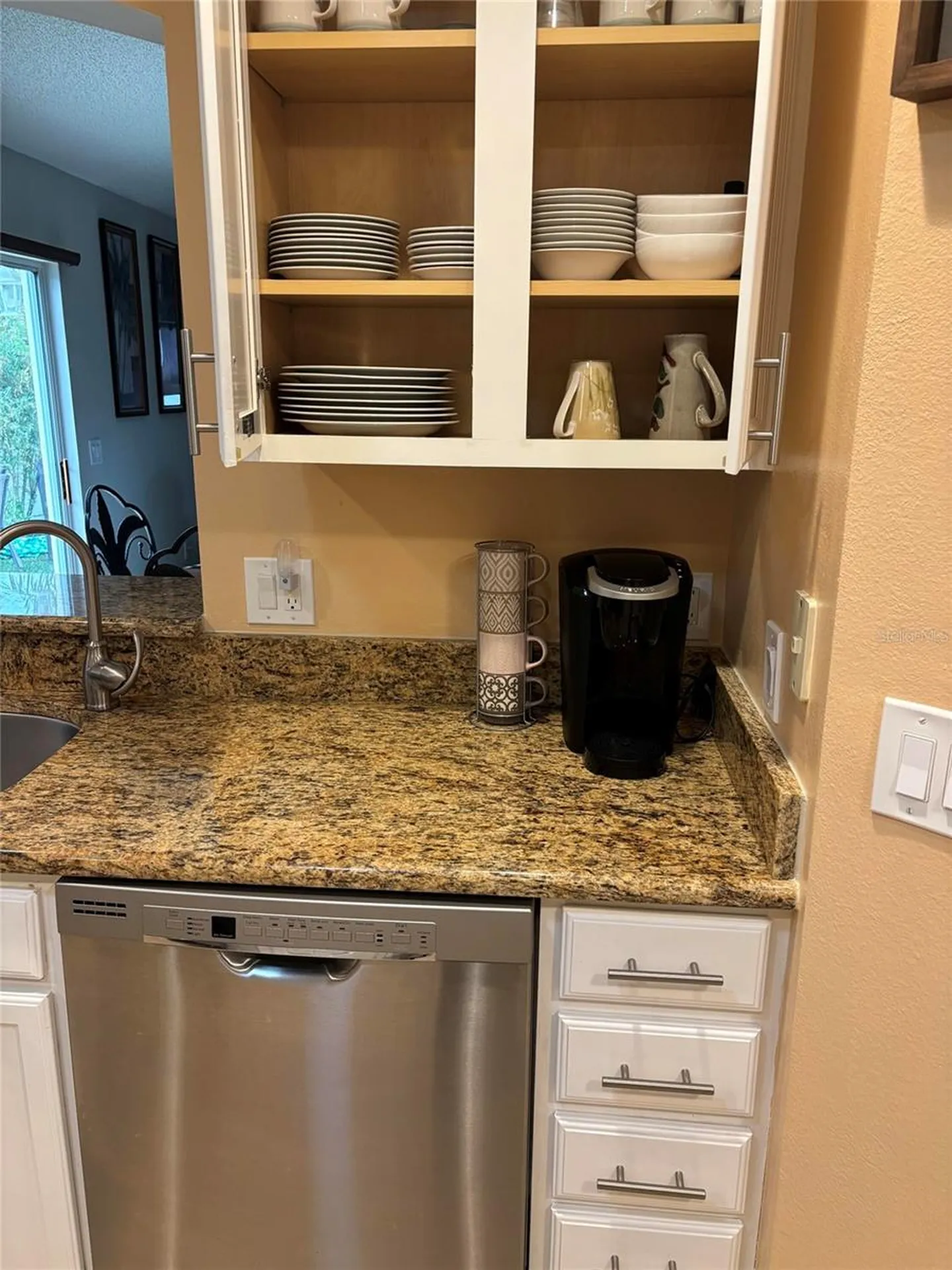 1069 Burnettown Place The Villages FL 32162