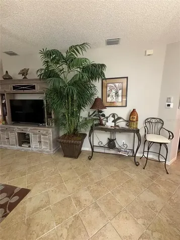 1069 Burnettown Place The Villages FL 32162