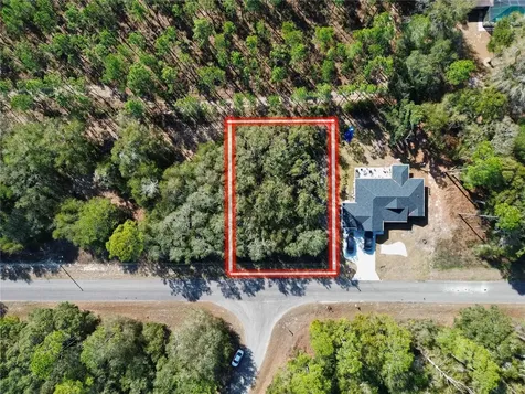 Tbd Guava Pass Ocklawaha FL 32179