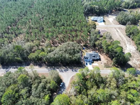 Tbd Guava Pass Ocklawaha FL 32179
