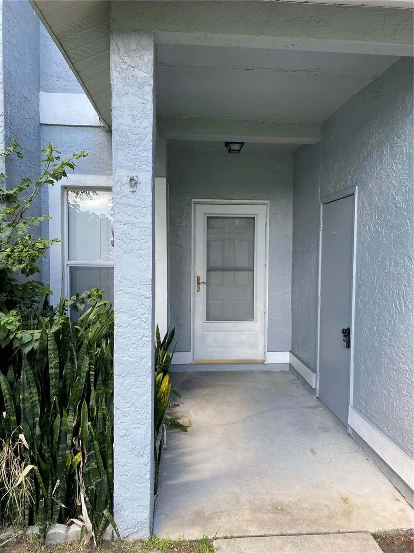62 Emerald Bay Drive Oldsmar FL 34677