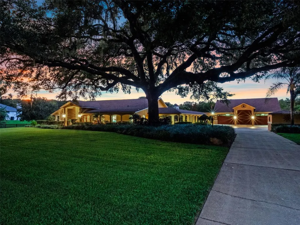 32133 Wolf Branch Lane Sorrento FL 32776