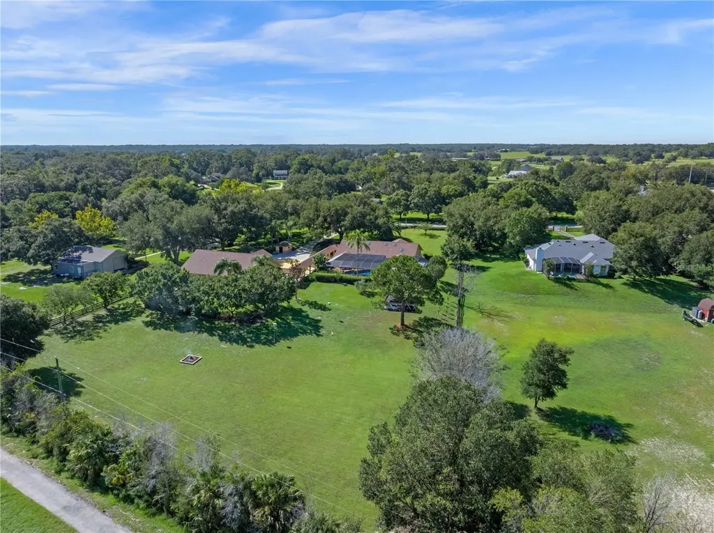 32133 Wolf Branch Lane Sorrento FL 32776