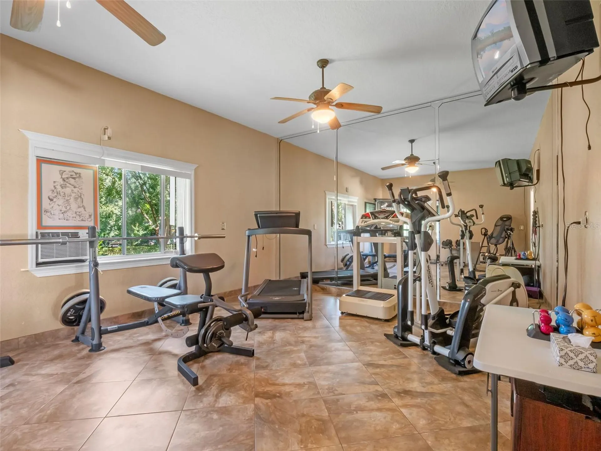 32133 Wolf Branch Lane Sorrento FL 32776