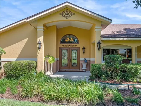 32133 Wolf Branch Lane Sorrento FL 32776