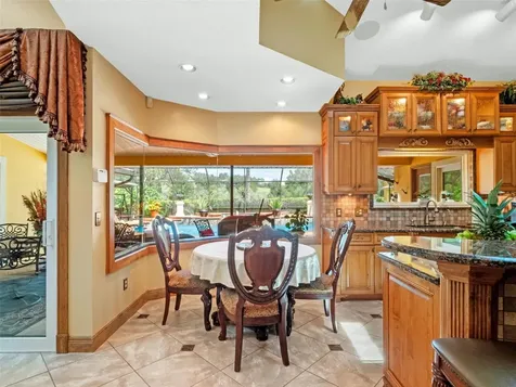32133 Wolf Branch Lane Sorrento FL 32776