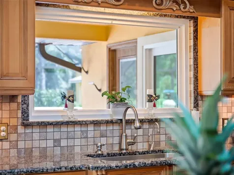 32133 Wolf Branch Lane Sorrento FL 32776