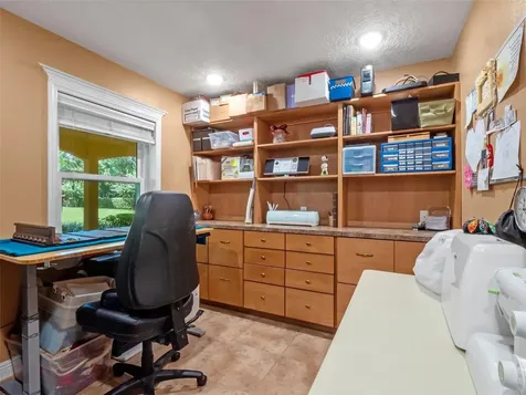 32133 Wolf Branch Lane Sorrento FL 32776