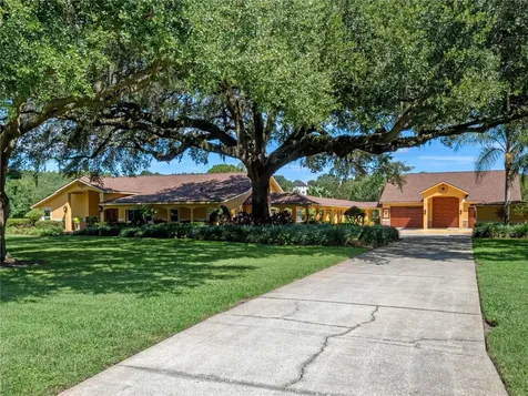 32133 Wolf Branch Lane Sorrento FL 32776
