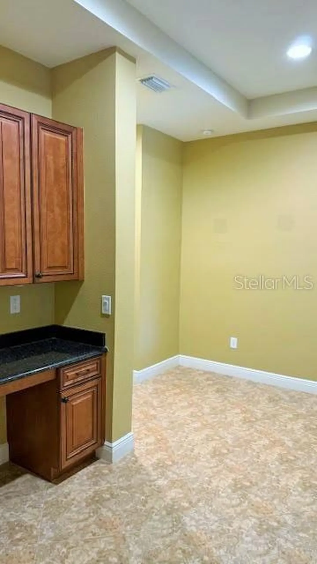 20010 Ryman Place Tampa FL 33647