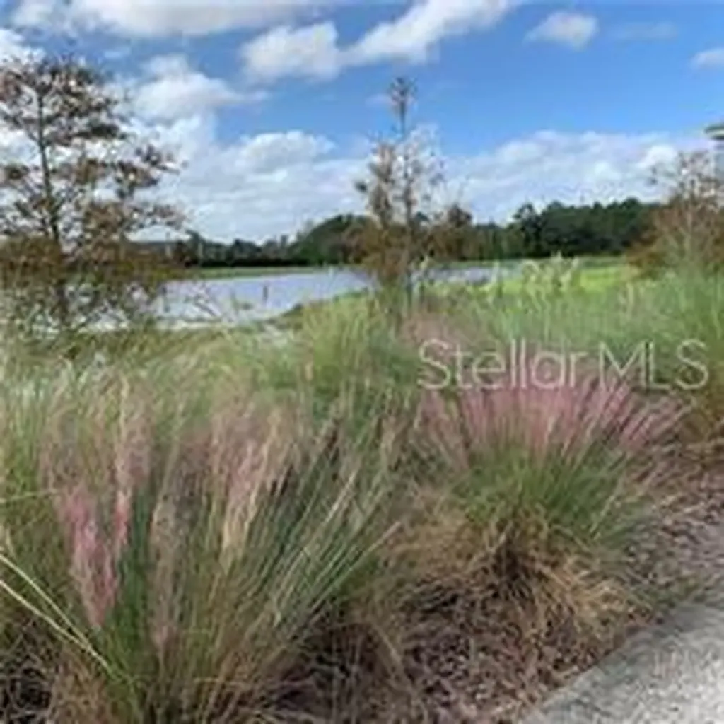 14279 Swanley Street Orlando FL 32832