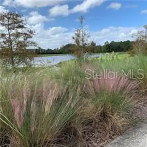 14279 Swanley Street Orlando FL 32832