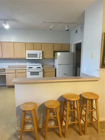 10861 Windsor Walk Drive Orlando FL 32837
